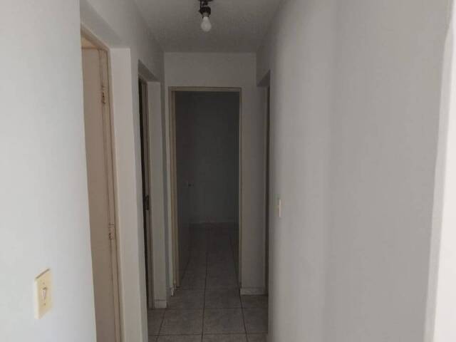 #288 - Apartamento para Locação em Arapongas - PR - 3