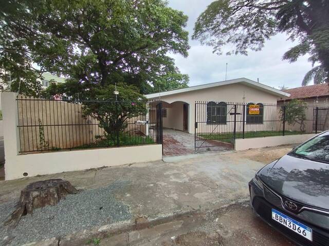 #342 - Casa para Locação em Arapongas - PR