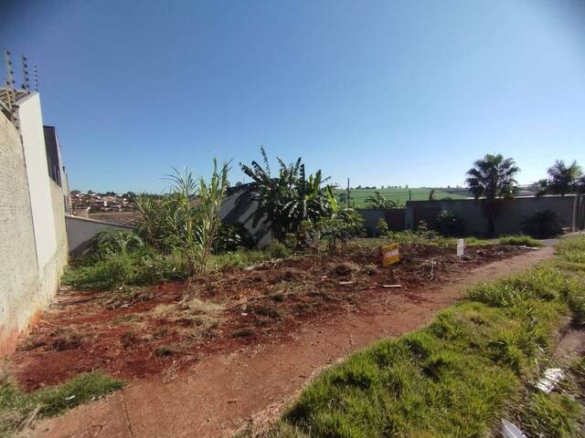 #397 - Terreno para Venda em Arapongas - PR - 1
