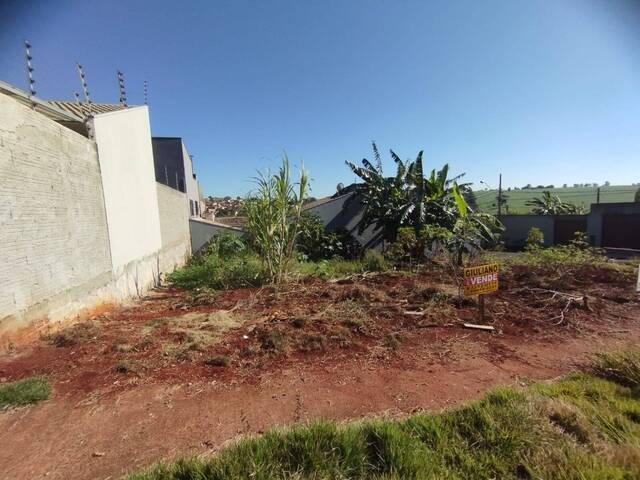 #397 - Terreno para Venda em Arapongas - PR - 3