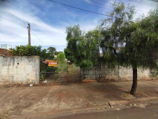 #404 - Área para Venda em Arapongas - PR - 1