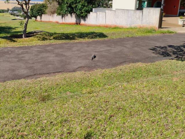#472 - Terreno para Venda em Arapongas - PR - 3