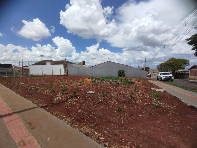 #481 - Terreno para Venda em Arapongas - PR - 1