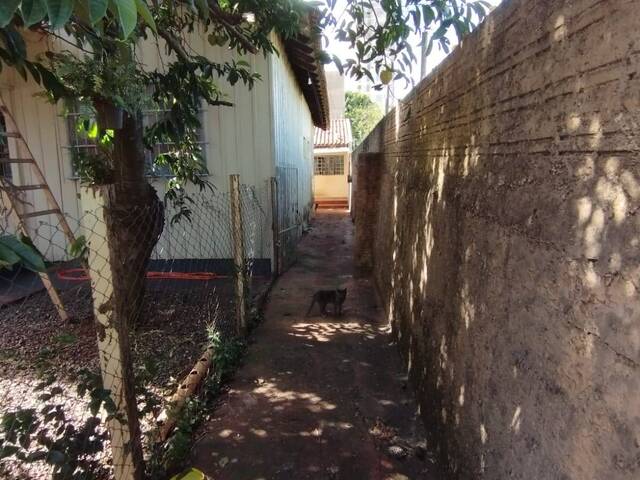 #521 - Casa para Locação em Arapongas - PR