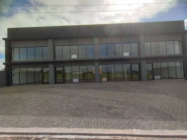 #558 - Sala para Locação em Arapongas - PR