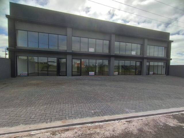 #558 - Sala para Locação em Arapongas - PR